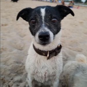 Meet your Posher, Carina